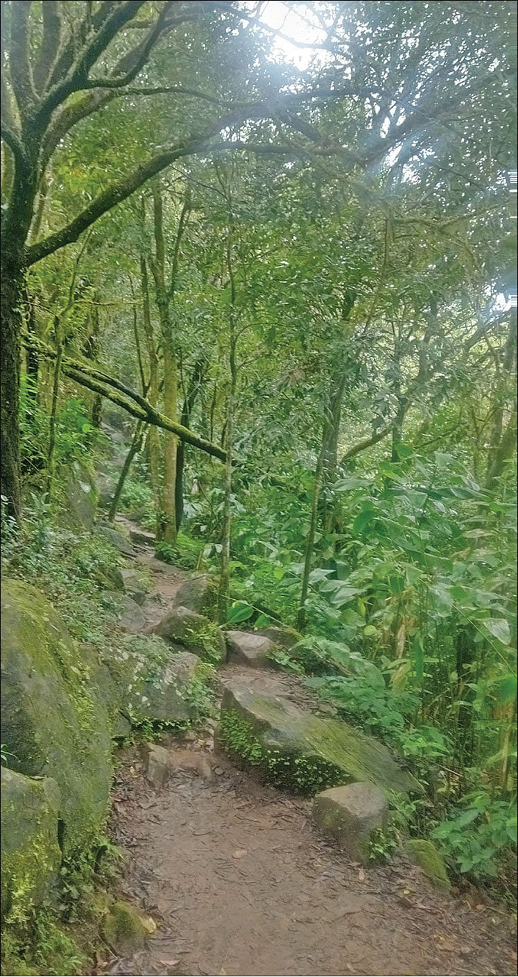 ராணிபுரம்