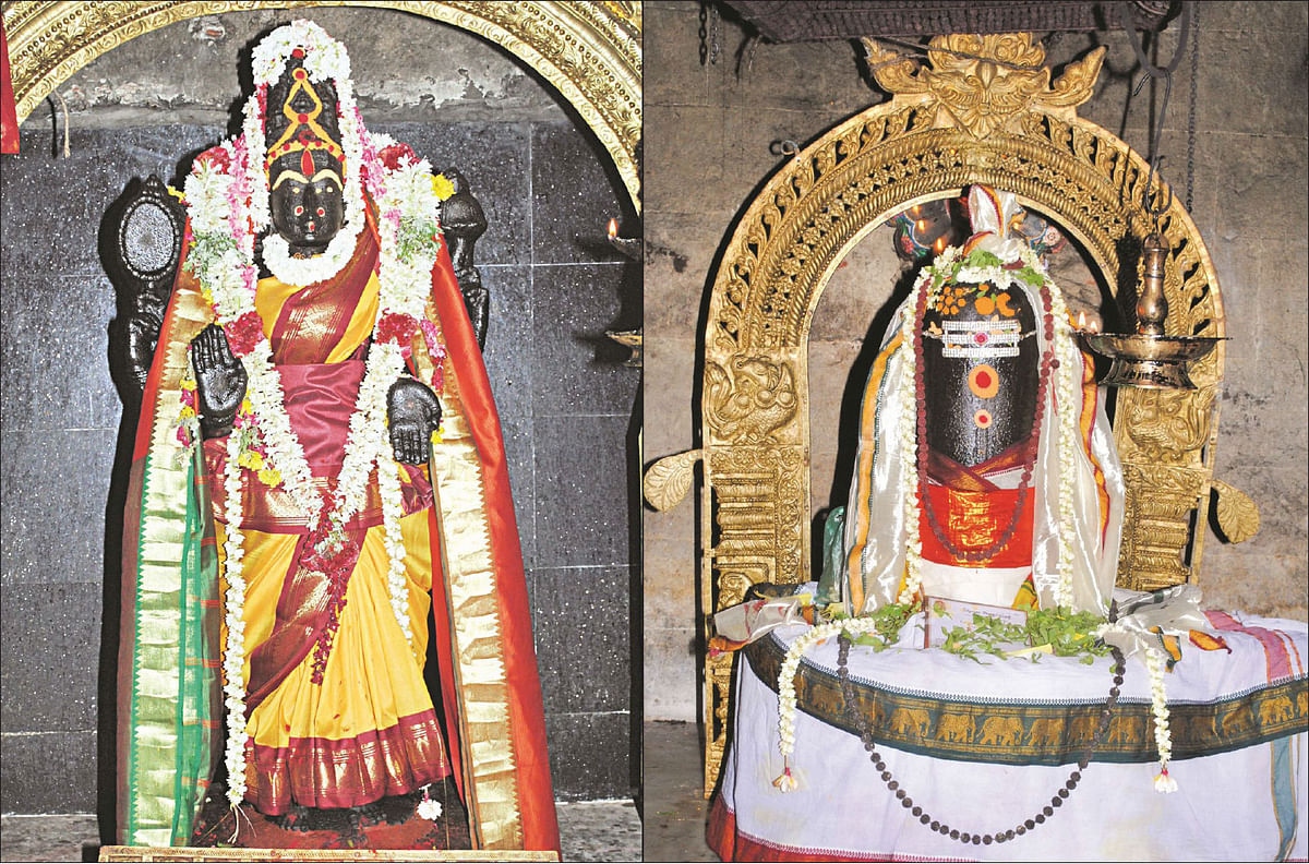 ஸ்ரீசாரபரமேஸ்வரர் - ஞானாம்பிகை