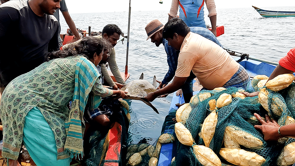 சுப்ரஜா தாரணி