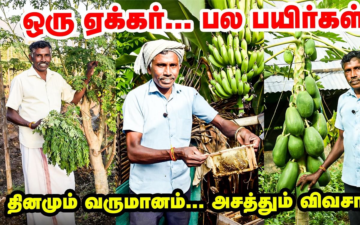 ஒரு ஏக்கரில் பல பயிர்கள்