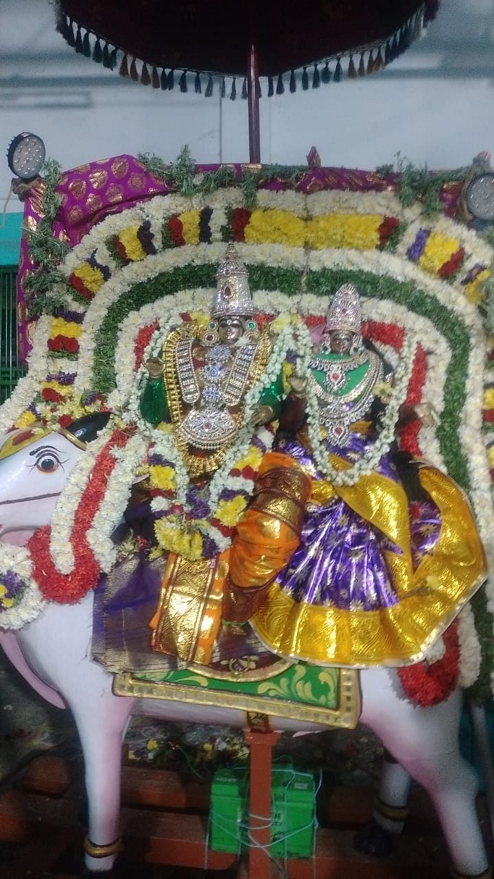 சுவாமி பல்லக்கு திருவீதியுலா