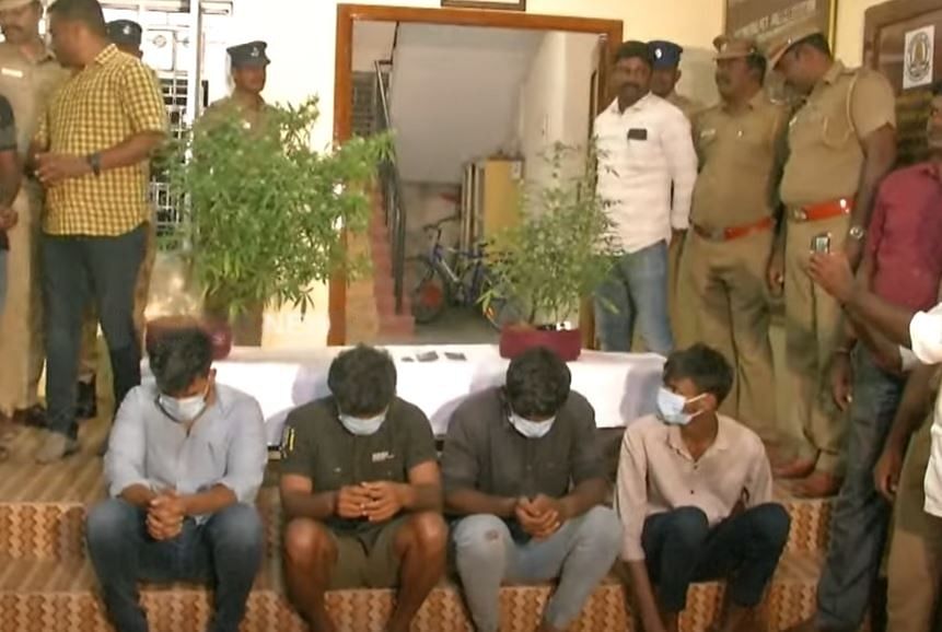 வீட்டுக்குள் கஞ்சா வளர்த்த கும்பல்