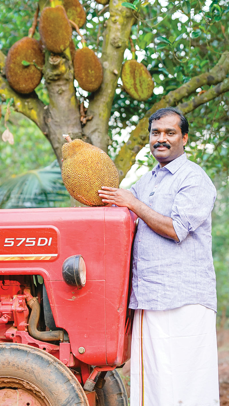 பண்ருட்டி பலாவுடன்