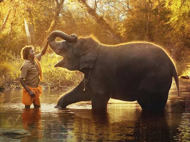 தி எலிஃபண்ட் விஸ்பரர்ஸ் பேச மறந்த சமூகவியல்! - வாசகர் வாய்ஸ் | My Vikatan 