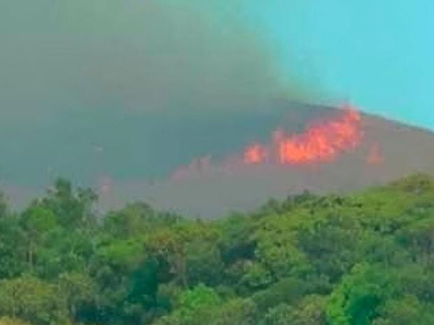 கேரளா - தமிழ்நாடு... சந்தனமரம் கடத்த மலைக்கு தீ வைத்த நபர் கைது!