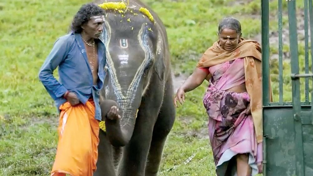 உலகின் உச்சியில் ஒரு தொடக்கம்!