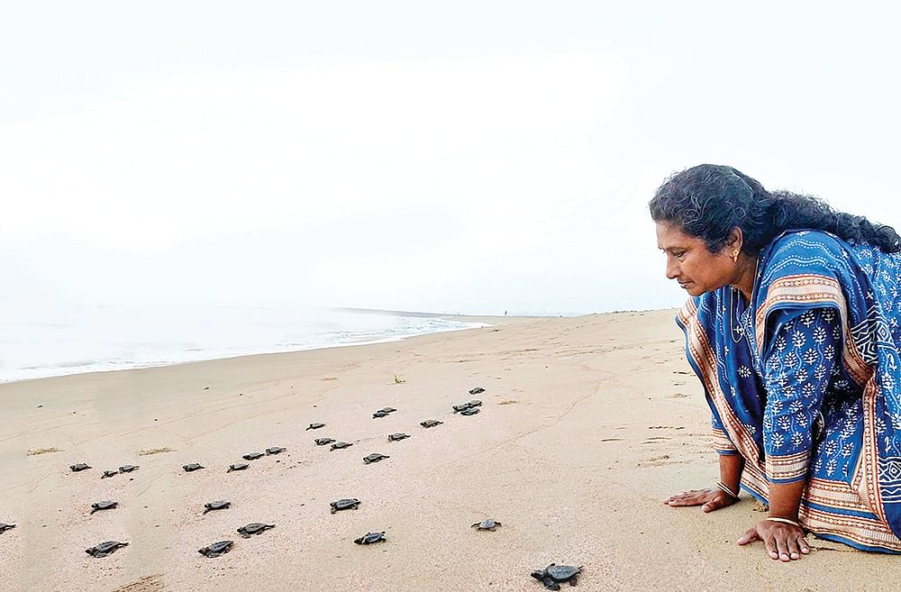 சுப்ரஜா தாரணி
