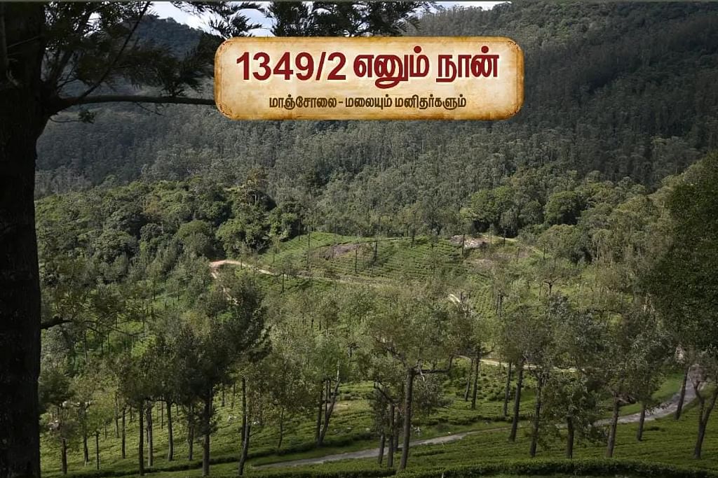 மாஞ்சோலை எஸ்டேட்