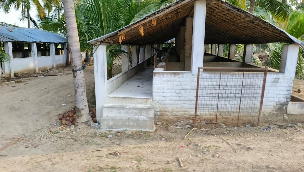 வெண்பன்றி பண்ணை
