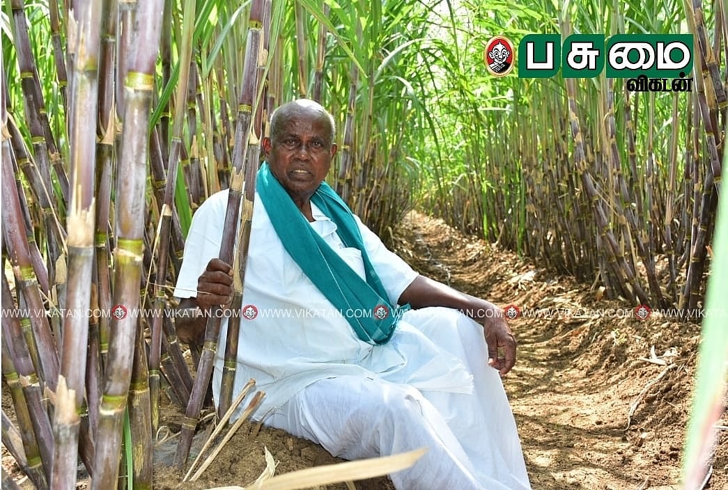 `லாபத்தை அள்ளித்தரும்
இயற்கை வேளாண்மை’! 
முன்னோடி விவசாயி
பண்ணையில் களப் பயிற்சி! 