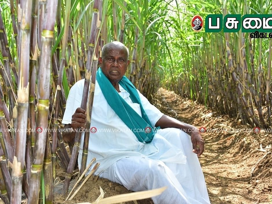 `லாபத்தை அள்ளித்தரும்
இயற்கை வேளாண்மை’! 
முன்னோடி விவசாயி
பண்ணையில் களப் பயிற்சி! 