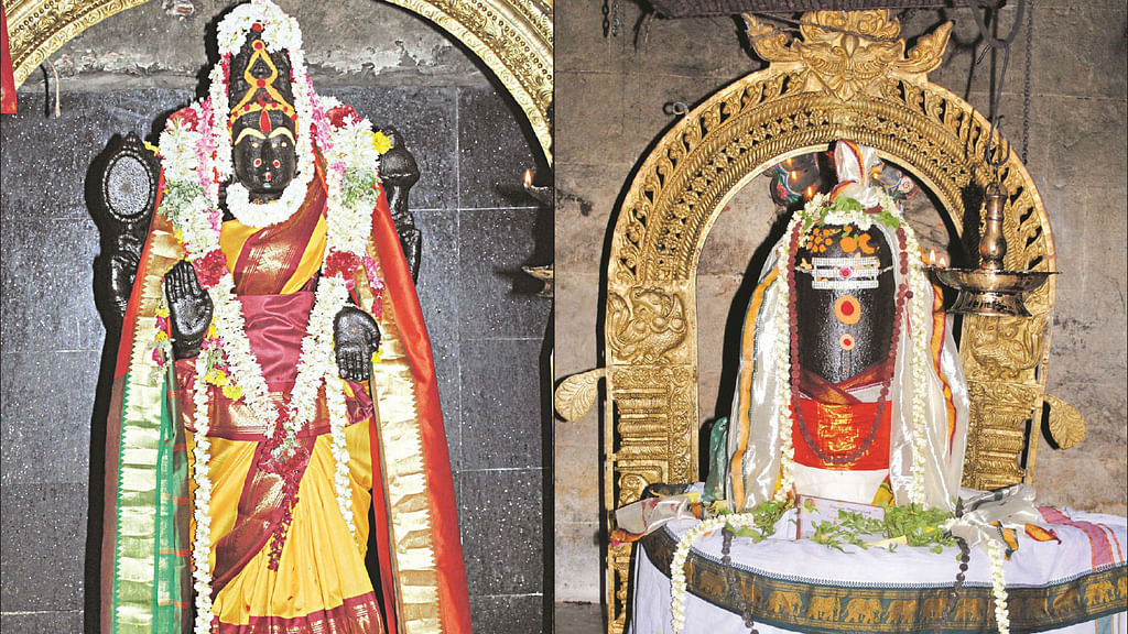 ஸ்ரீசாரபரமேஸ்வரர் - ஞானாம்பிகை