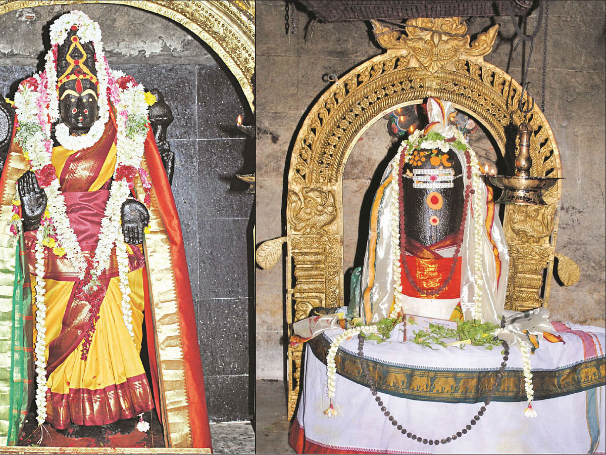 ஸ்ரீசாரபரமேஸ்வரர் - ஞானாம்பிகை