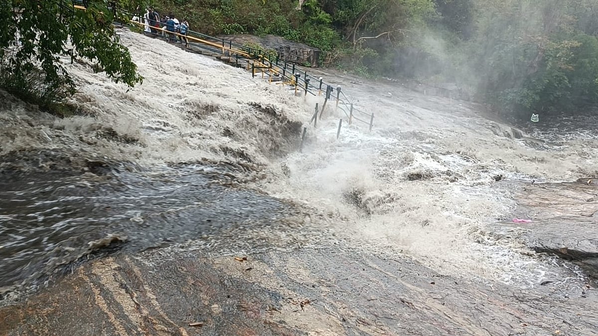 தேனி - கும்பக்கரையில் திடீர் வெள்ளப்பெருக்கு; சுற்றுலா பயணிகள் குளிக்கத் தடை!