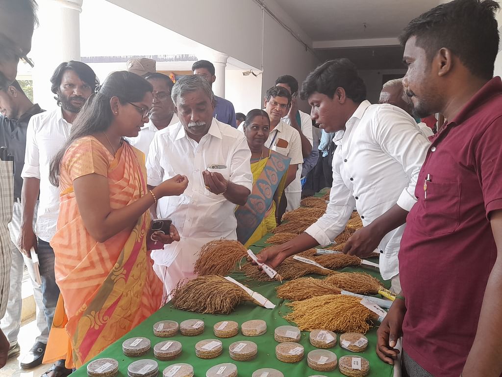 உணவுத்திருவிழா