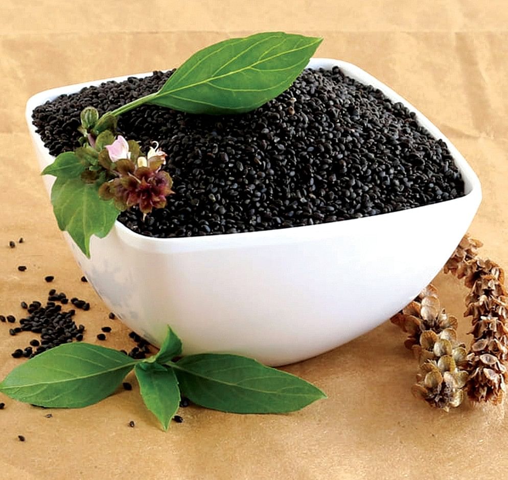 சப்ஜா மற்றும் சியா விதைகள்