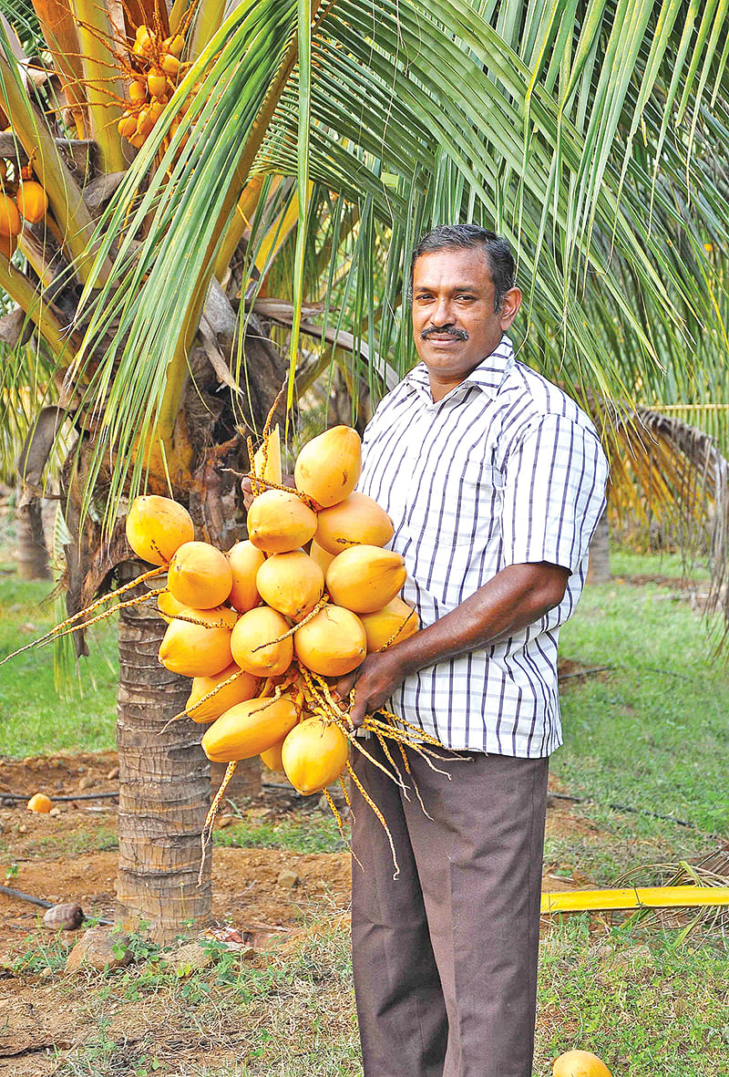அப்போலோ