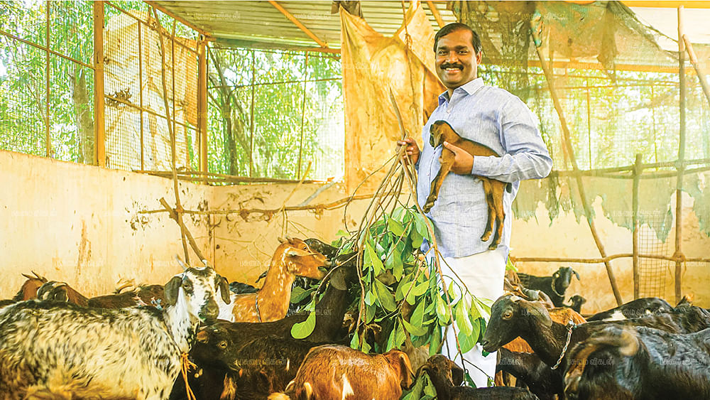 ஆடுகளோடு வேல்முருகன்