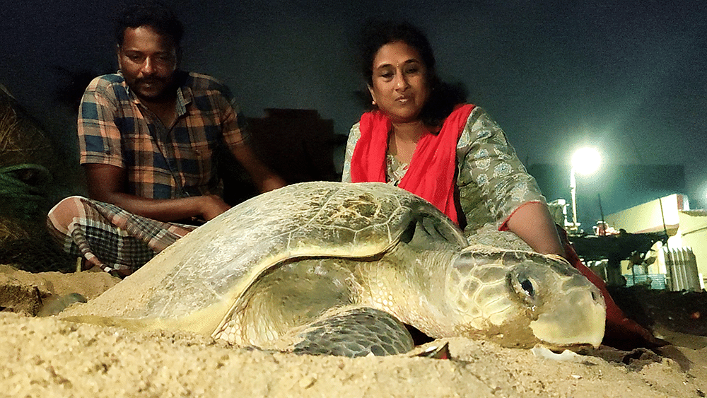 சுப்ரஜா தாரணி