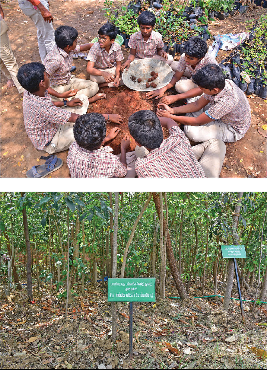 5,000 சதுர அடி, 1,000 மரங்கள்...
அரசுப் பள்ளியில் ஓர் அடர்வனம்!