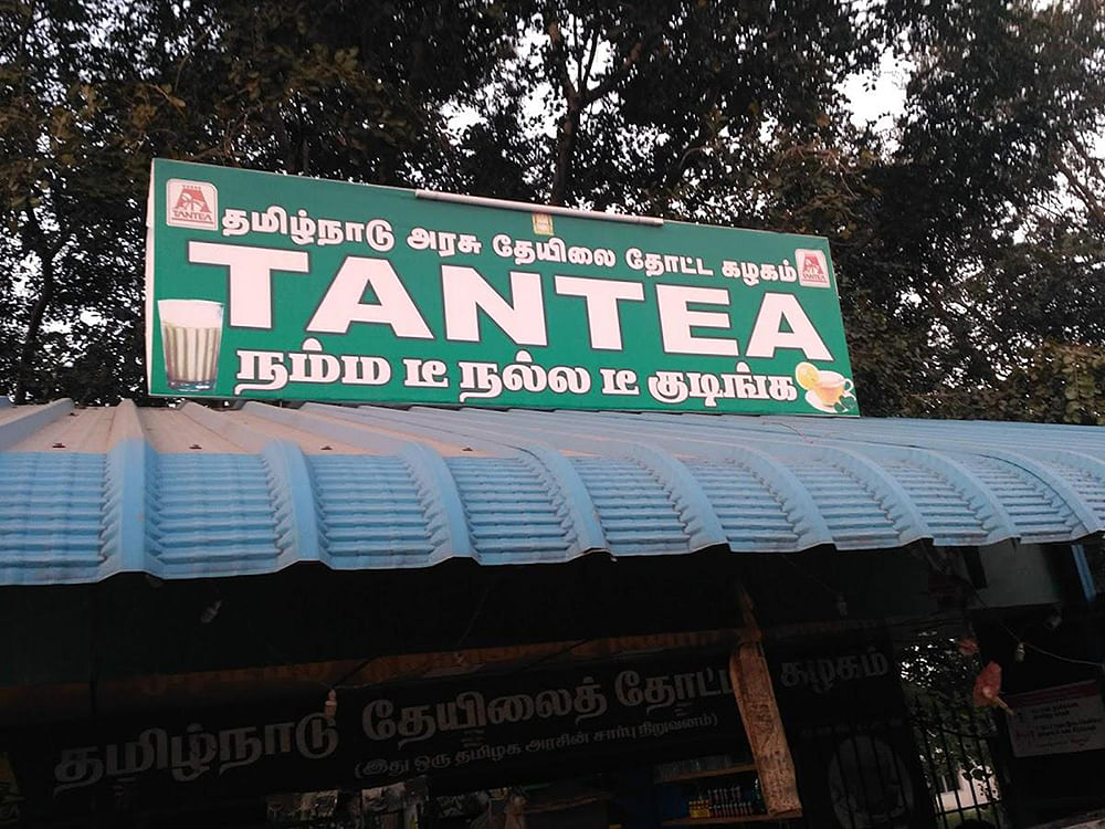 நீலகிரி