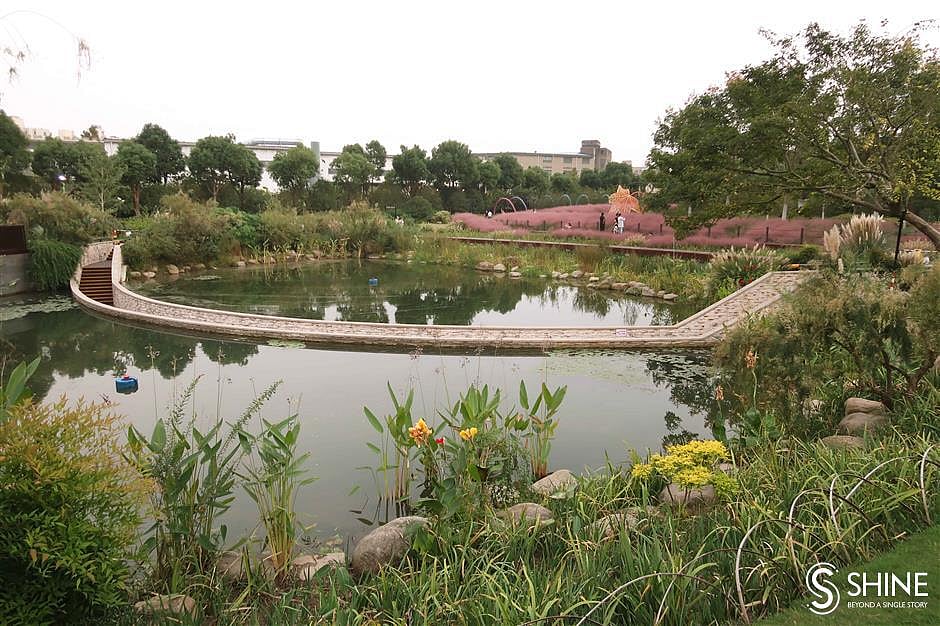 வெள்ளத்திலிருந்து சென்னையை காப்பாற்றுமா ஸ்பாஞ்ச் பார்க் திட்டம்?!