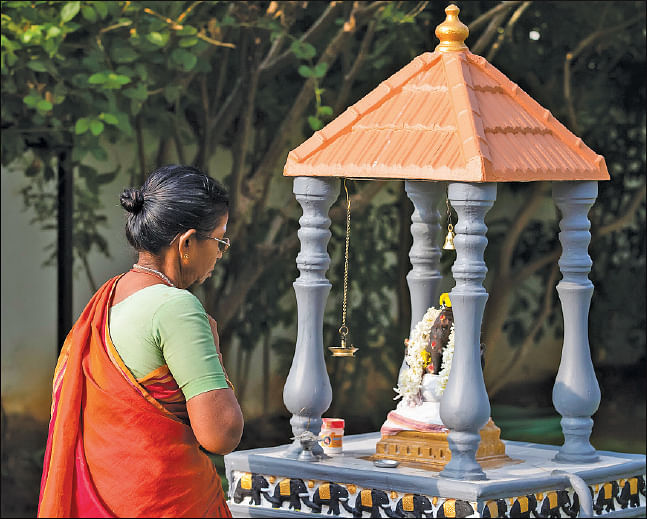 பெண் டைரி