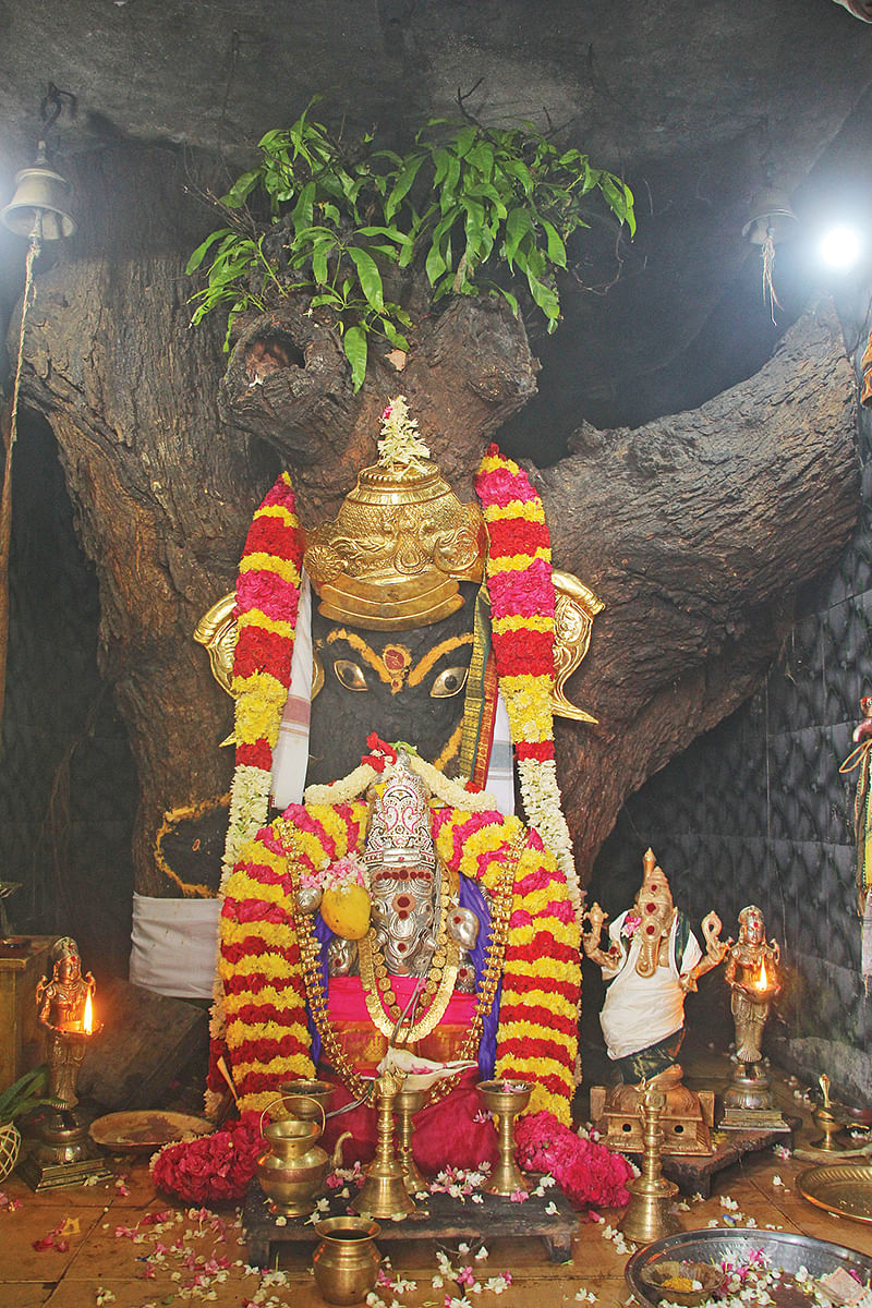 மாமரத்து சுயம்புவிநாயகர்