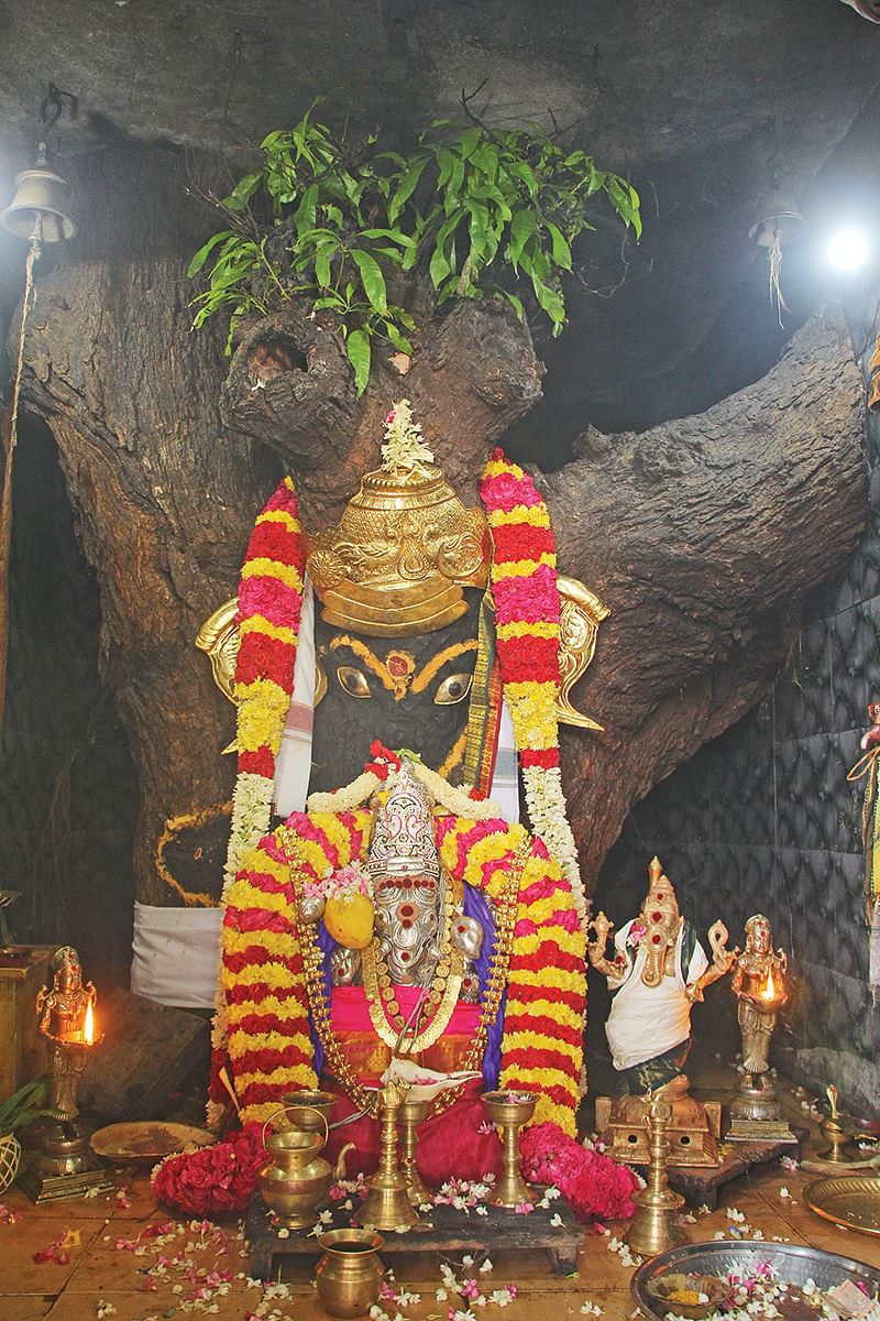 மாமரத்து சுயம்புவிநாயகர்
