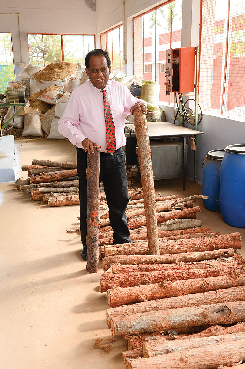 மரத்துண்டுகள்