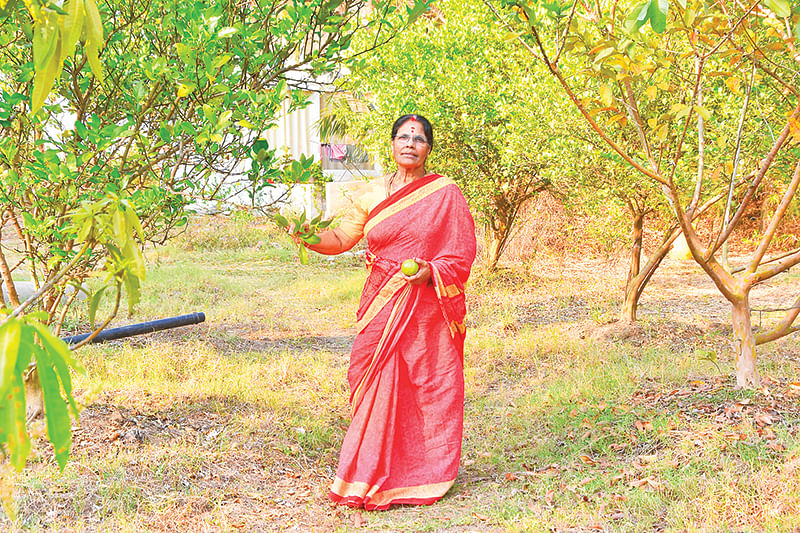 தோட்டத்தில்