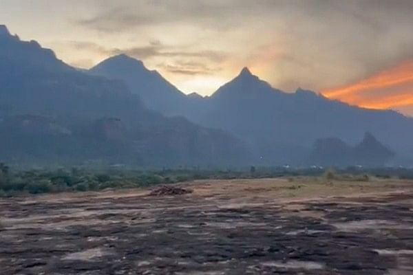 மேற்குத் தொடர்ச்சி மலையடிவாரப் பகுதி