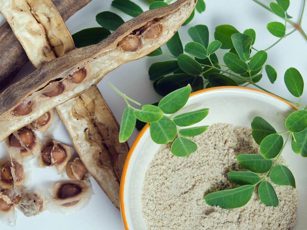 முருங்கை புண்ணாக்கு