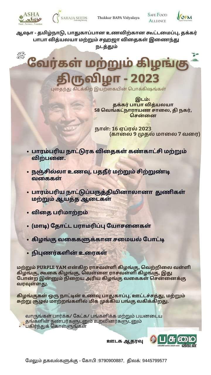 வேர்கள், கிழங்குகள் திருவிழா