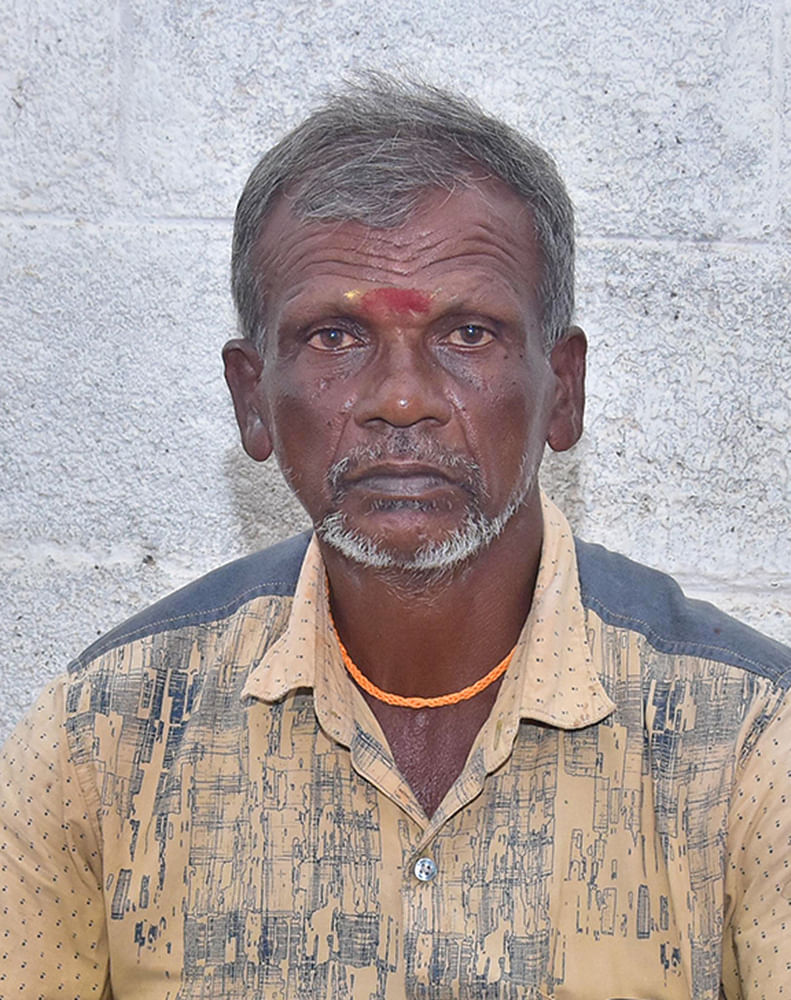 பாண்டி