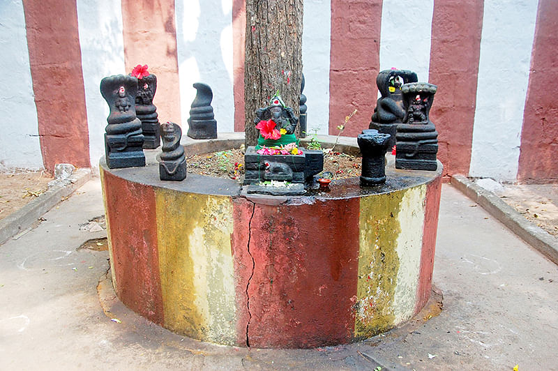 வடிவீஸ்வரம் அழகம்மன் சமேத சுந்தரேஸ்வரர் திருக்கோயில்