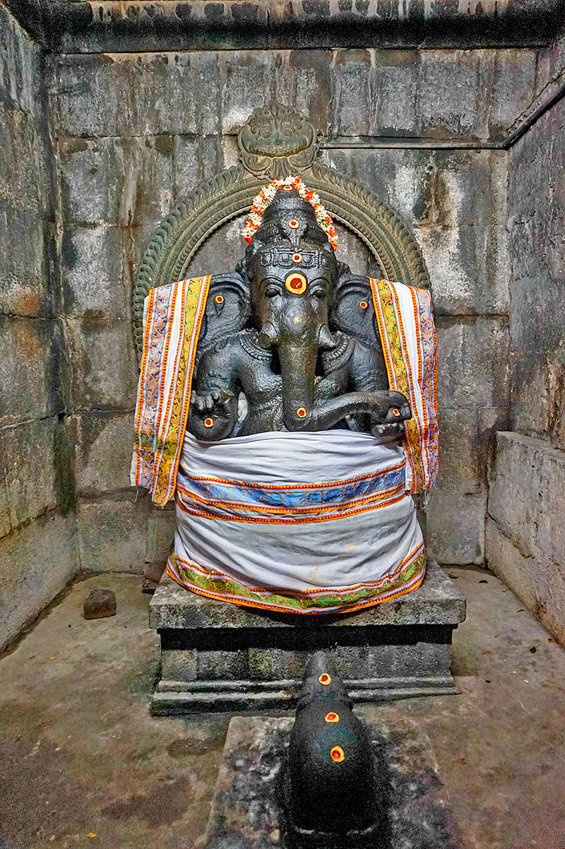 முன்னூர் முருகனுக்கு வேல் பூஜை திருவிழா!