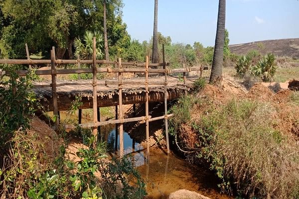 நீர்நிலை மீது அமைக்கப்பட்ட மரப்பாலம்