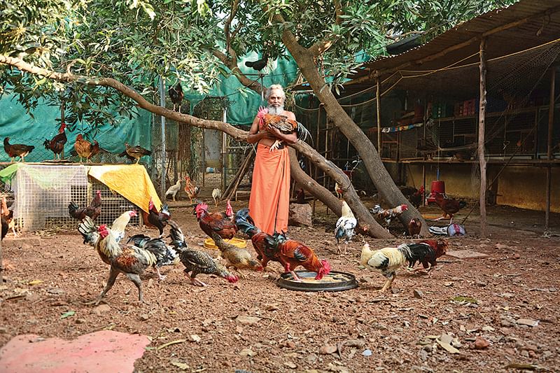 நாட்டுக்கோழிகளுடன் ராஜேந்திரன்