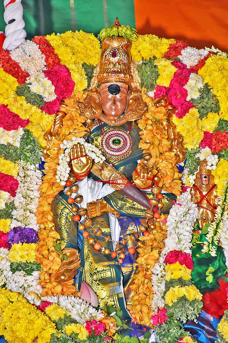 மதுரை மீனாட்சி
