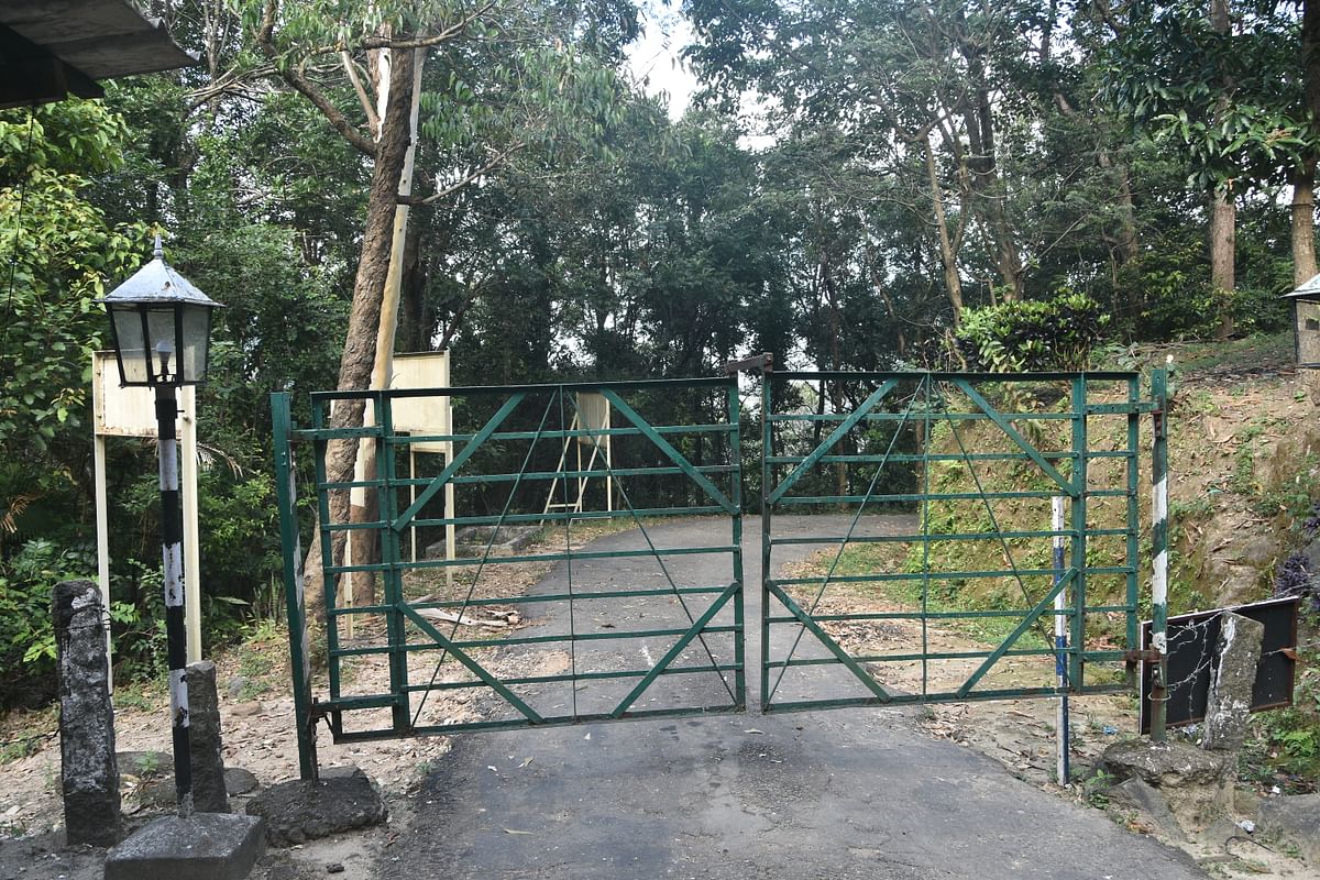 மாஞ்சோலை