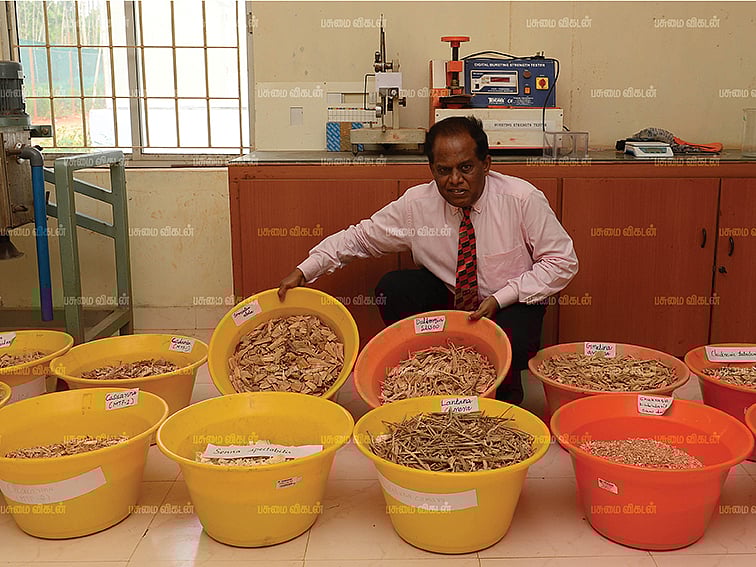 குறுகிய காலத்தில்... நிறைவான லாபம்... கைகொடுக்கும்காகிதக்கூழ் மரங்கள்! - 06