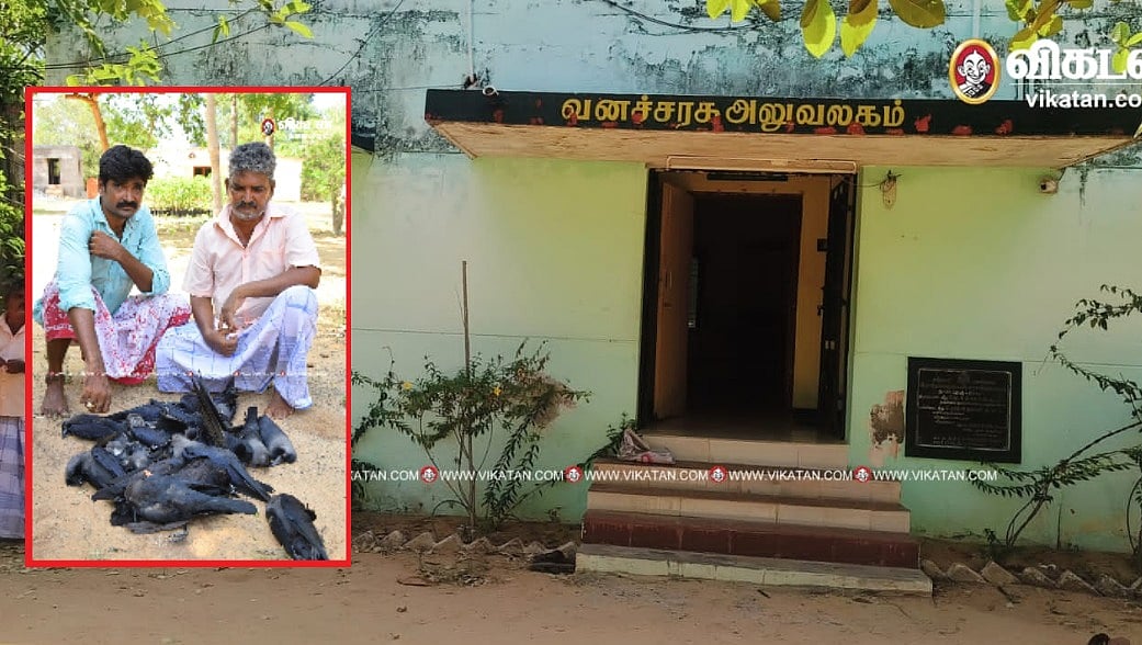 ராமநாதபுரம்: மிச்சரில் விஷம் வைத்து பிடிக்கப்பட்ட காக்கைகள்... 'மக்கள் அச்சம்' - பின்னணி என்ன!