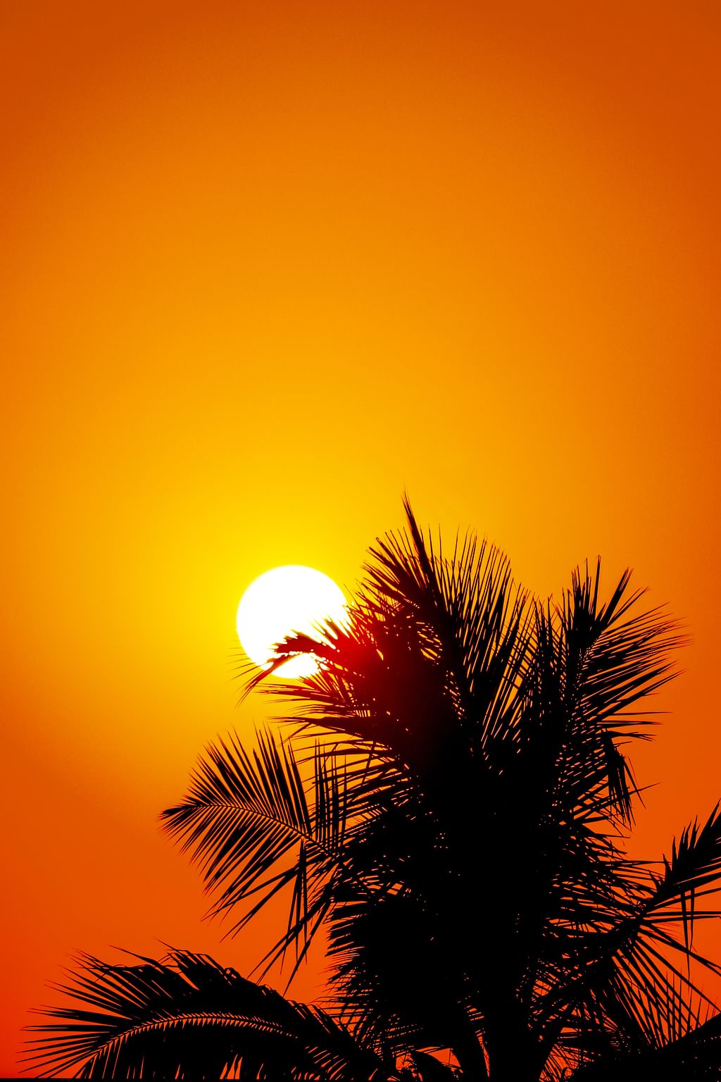 Representational Image