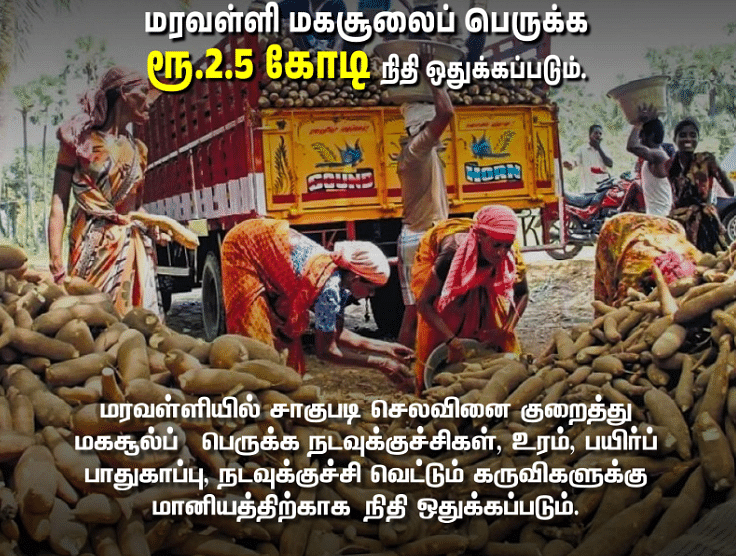 எங்கும் பசுமை, எதிலும் வளர்ச்சி...
வேளாண்மை துறை வெளியிட்ட முக்கிய அறிவிப்புகள்!
