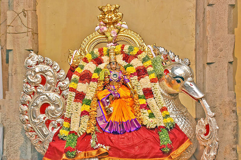 அன்ன வாகனத்தில் மீனாட்சி
