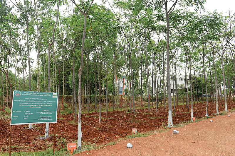 வனக்கல்லூரி