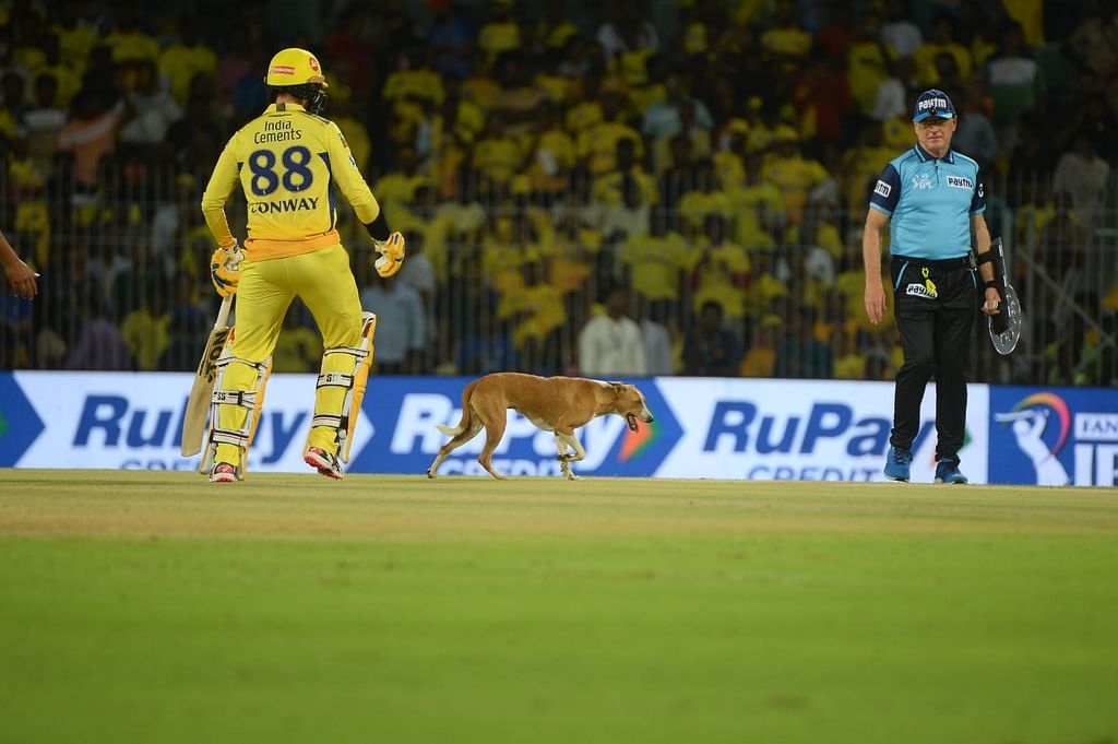 CSK