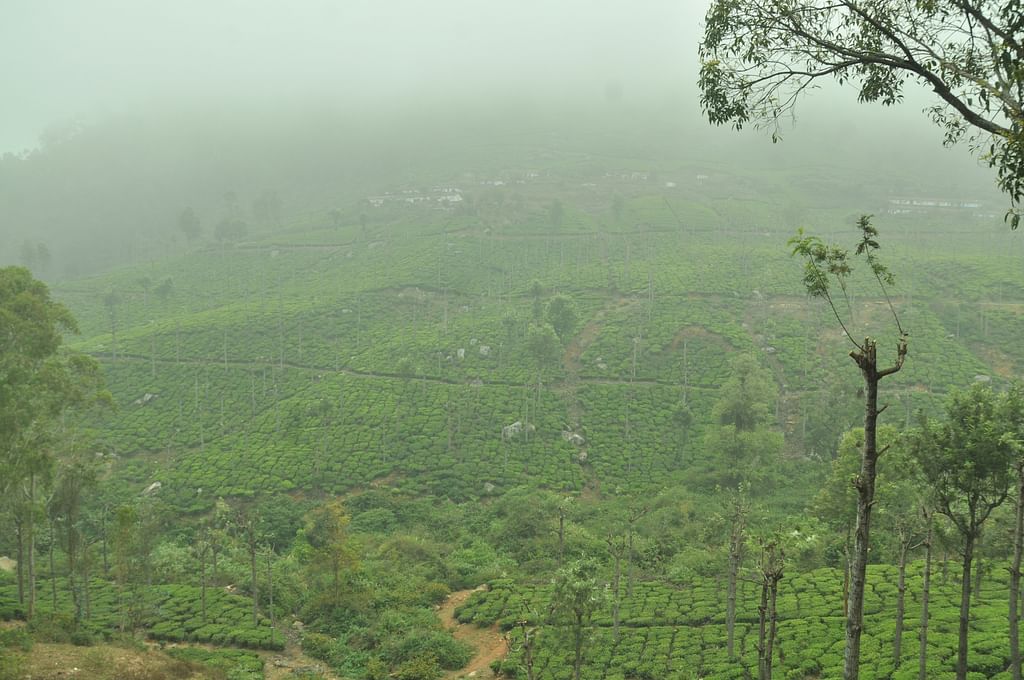 குன்னூர்
