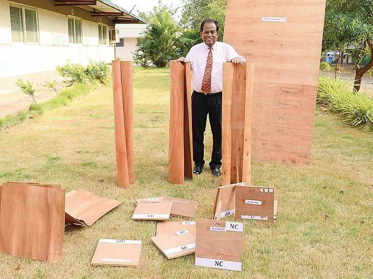 மகோகனிக்கு ரூ. 7,000, மலைவேம்புக்கு ரூ. 9,500;வளமான வருமானம் தரும்ஒட்டுப்பலகை மரங்கள்! - 05